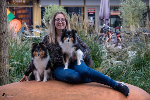 afbeelding van Samen genieten, met twee trouwe viervoeters die helemaal bij het gezin horen.